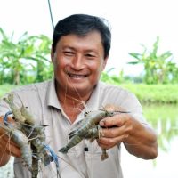 Anh Tuấn – Bạc Liêu